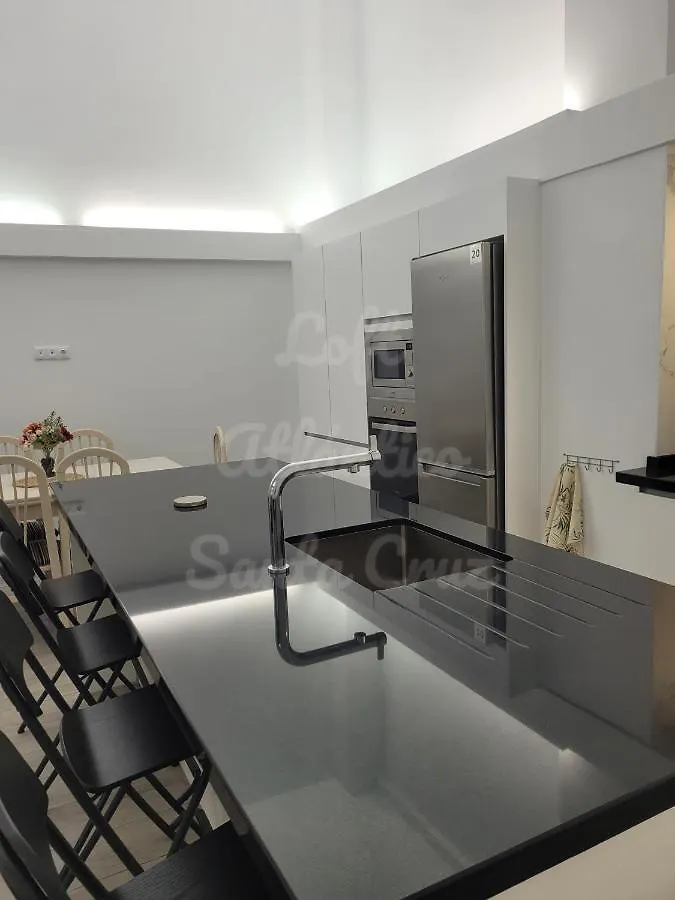 Loft Atlantico Santa Cruz Apartment