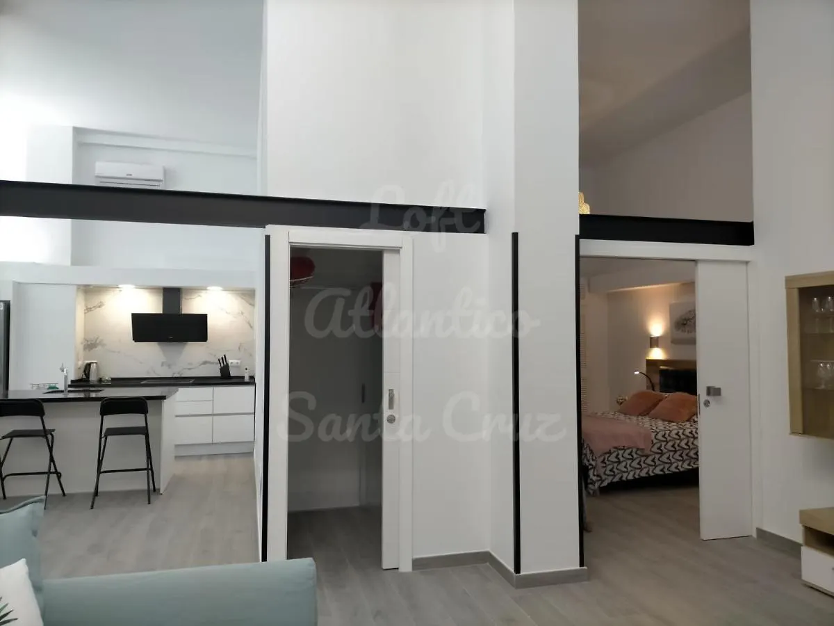 Loft Atlantico Santa Cruz Apartment  Santa Cruz de Tenerife